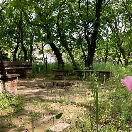 Romantic House At Balaton Villa Balatonszepezd