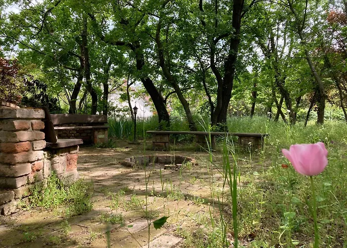 Romantic House At Balaton וילה באלאטונספזד